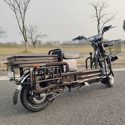 70km/H উচ্চ গতির বৈদ্যুতিক কার্গো মোটরসাইকেল 1500W 2000W 3000W